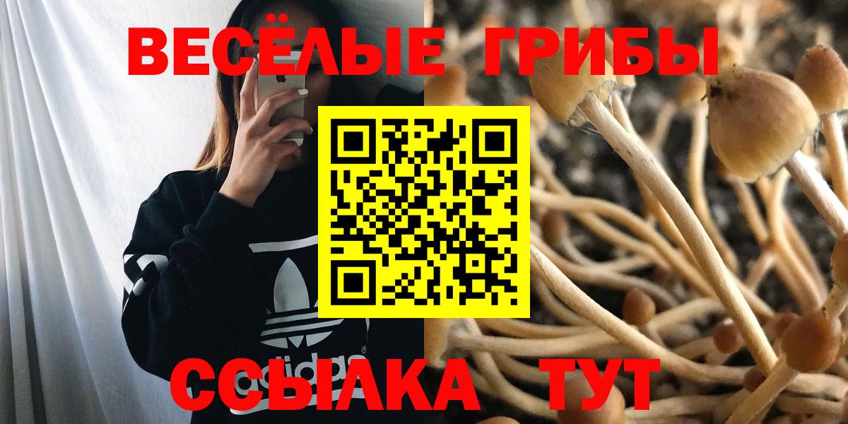 Псилоцибиновые грибы Psilocybe Маркс